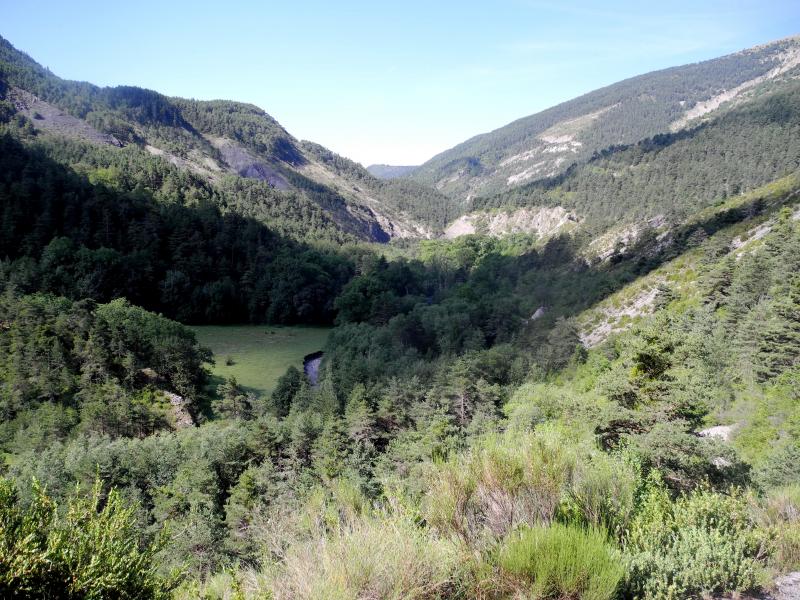 Dans le vallon de Reybaud