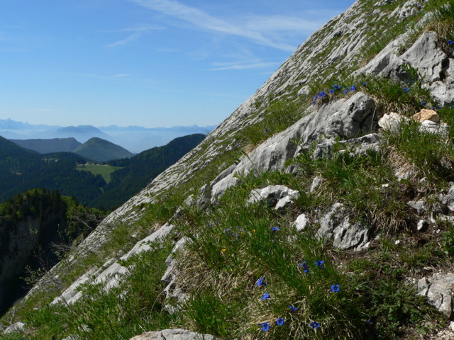 Dans les dalles