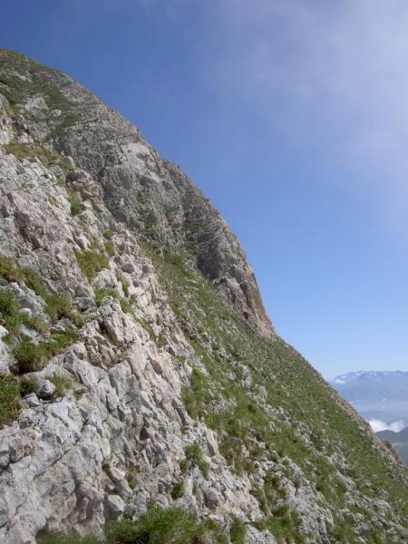Dans les gradins herbeux sommitaux