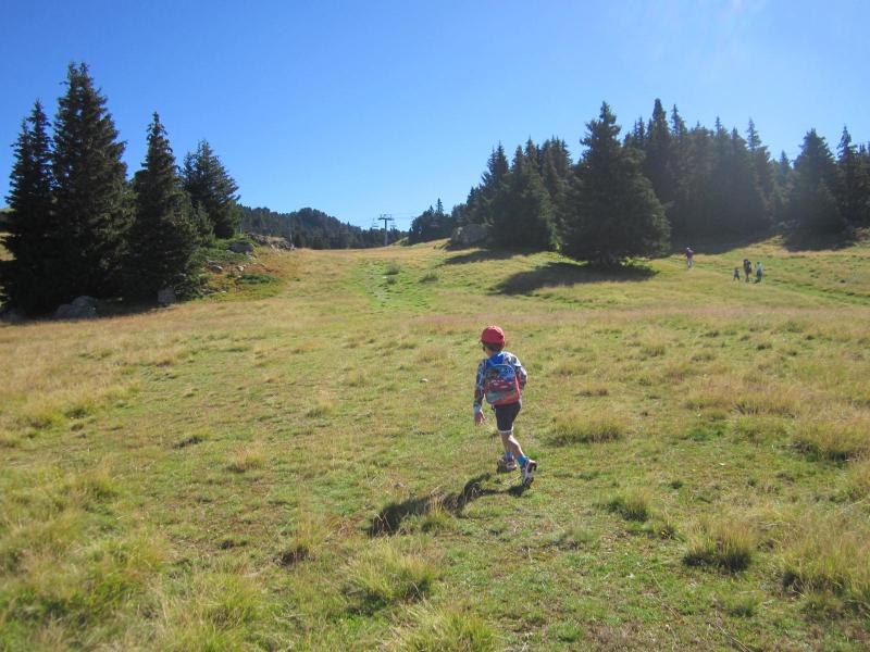 Dans les pentes herbeuses