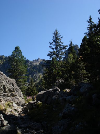 Débouché sur le vallon au-dessus de l'Oursière