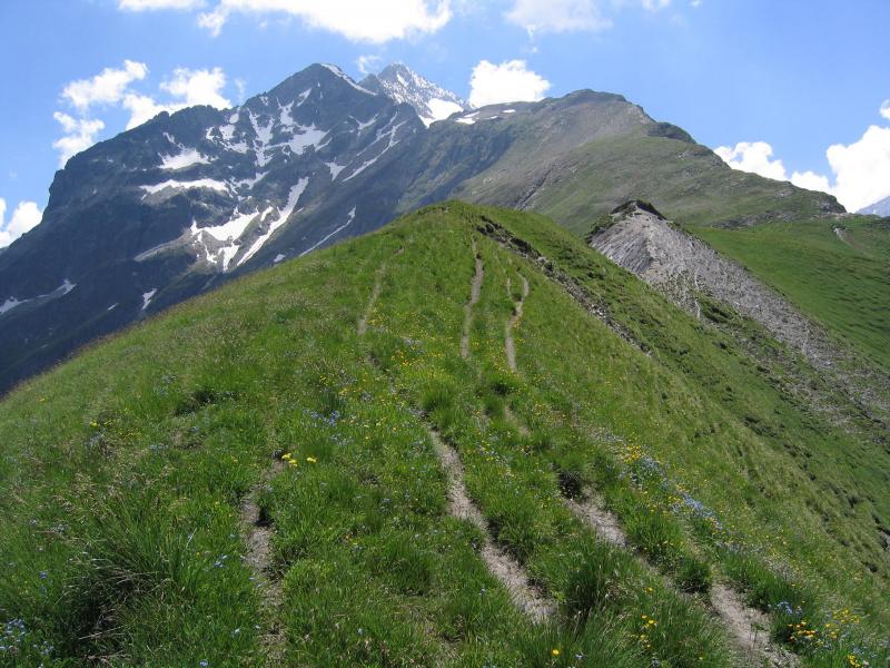Début de la crête