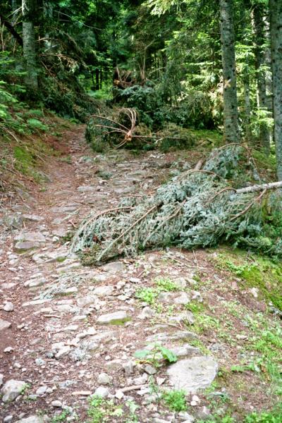 DÃ©but de la montÃ©e aprÃ¨s le guÃ©