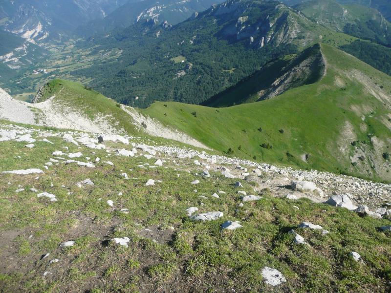 Déco nord