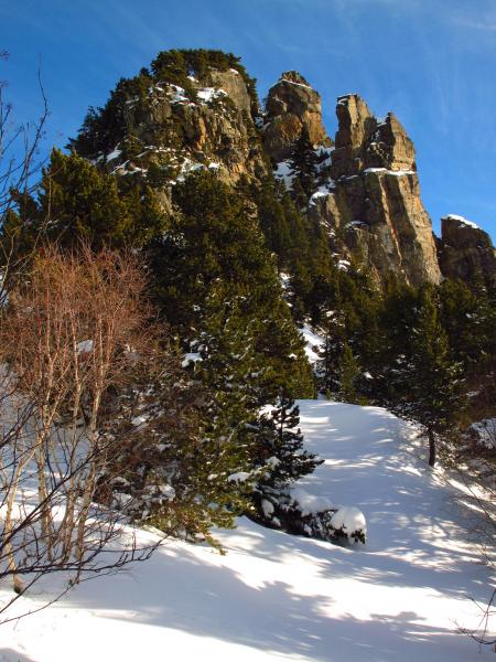 Dent d'Alexandre