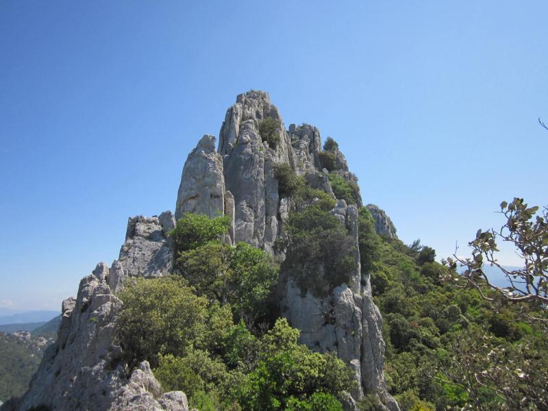 Dentelles