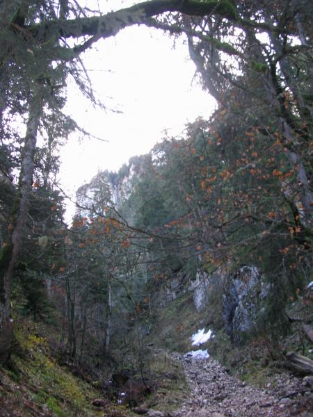 Départ Tranquille en forêt