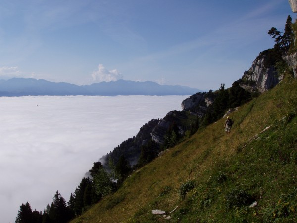 Départ du sangle