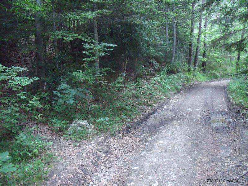 Départ du sentier de l'Hirondelle