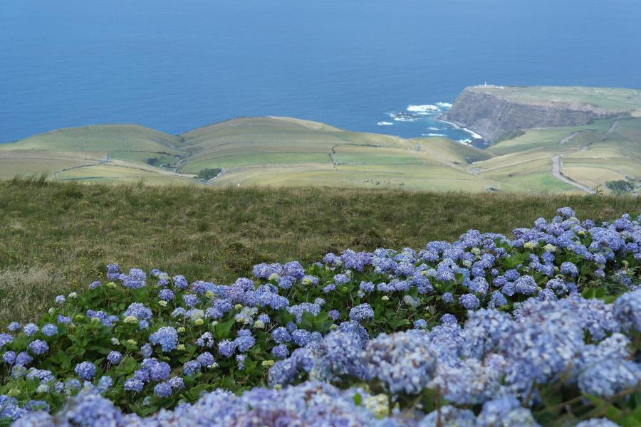 Départ phare Ponta Delgada - Flores