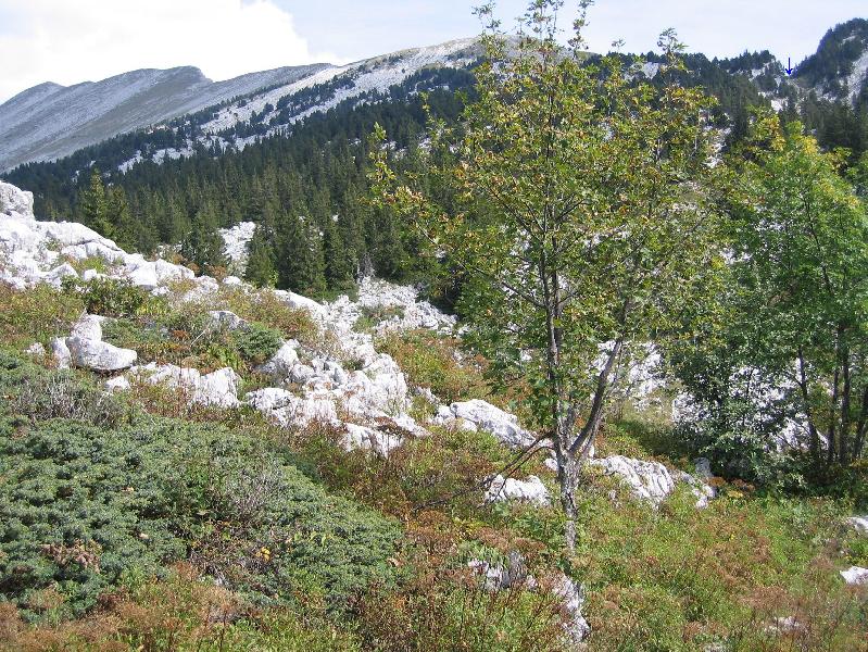 Depuis la prairie du Grand Pot
