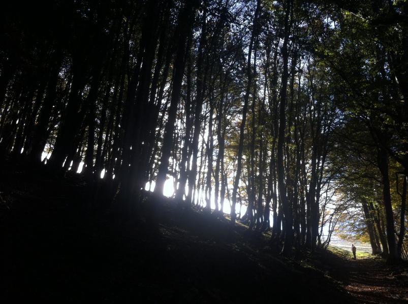Derniers mètres avant la lumière...