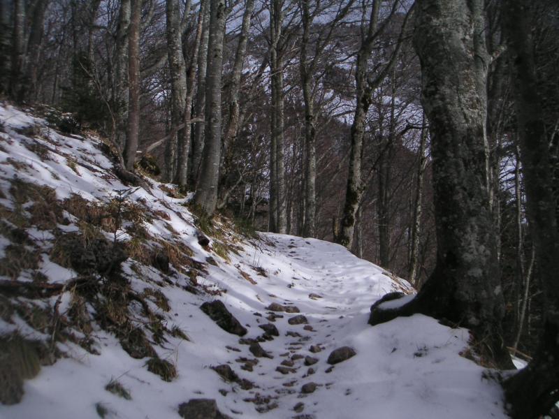 Des rayons de soleil dans la montée