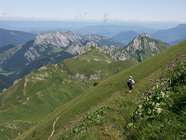 Descente
