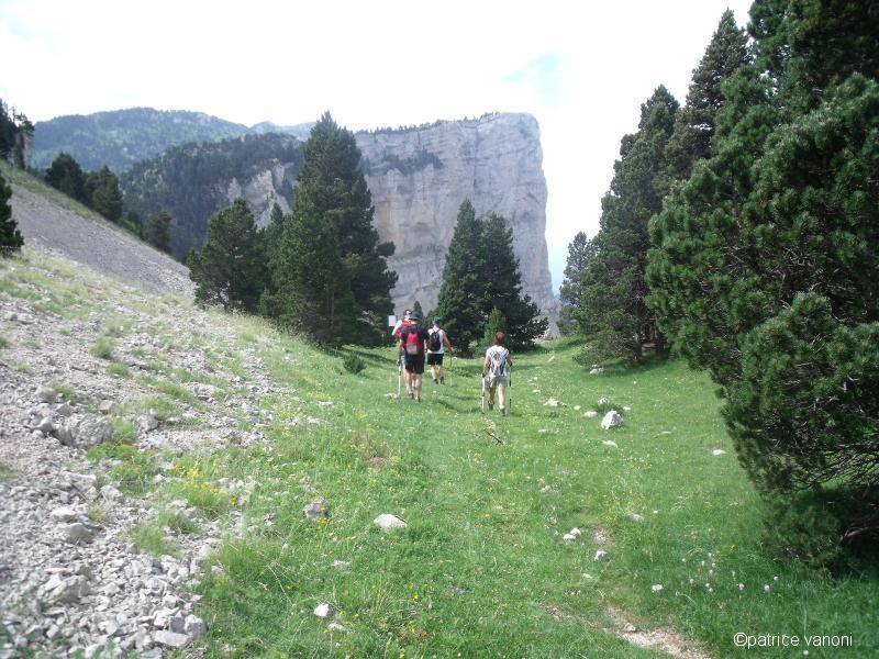 Descente