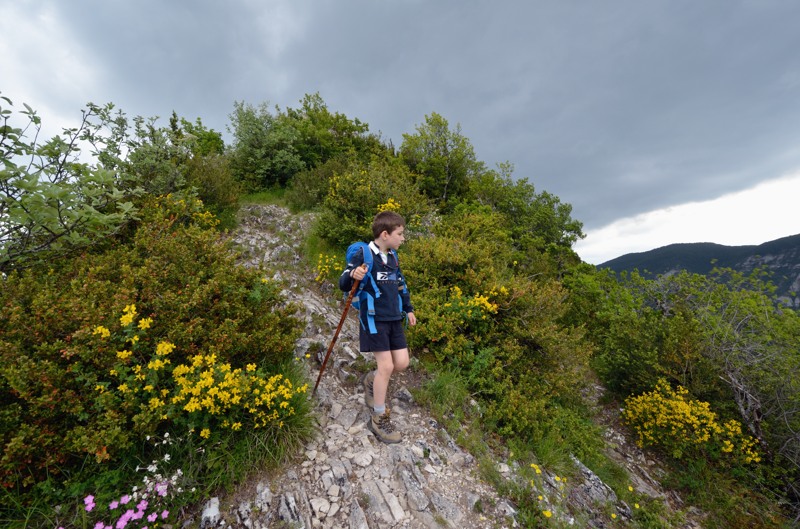 Descente