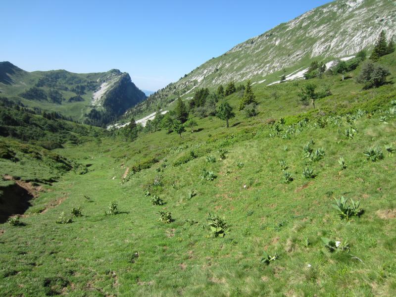 Descente agréable mais un peu marécageuse