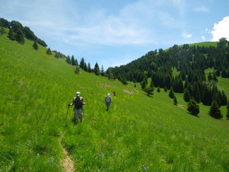 Descente après le col St Jean