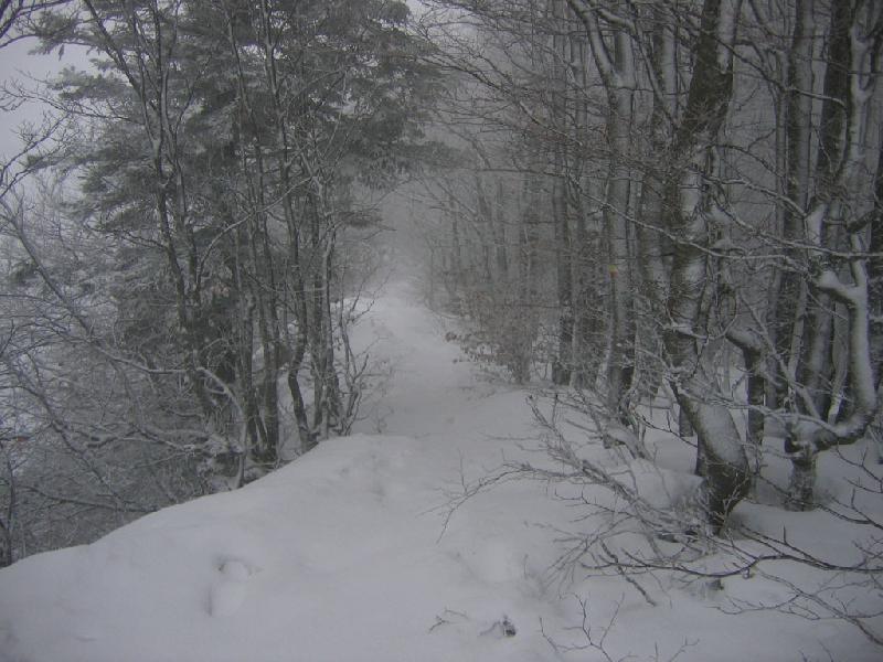 Descente de la Pointe de la Gorgeat