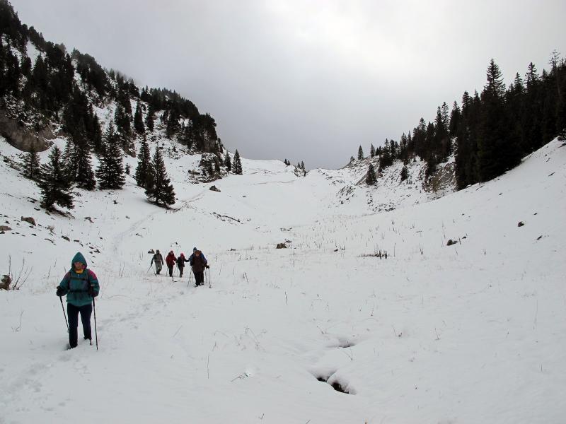 Descente du col de Bovinant (Chartreuse)