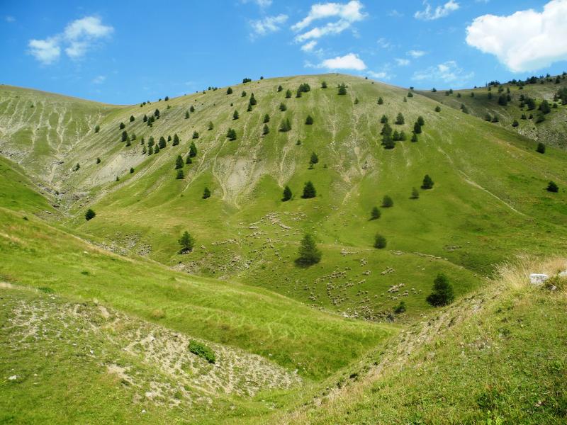 Descente vers le fond du vallon