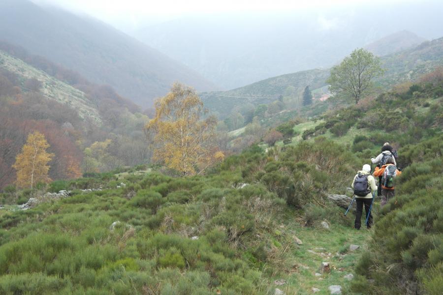 Descente vers le mas du Truc