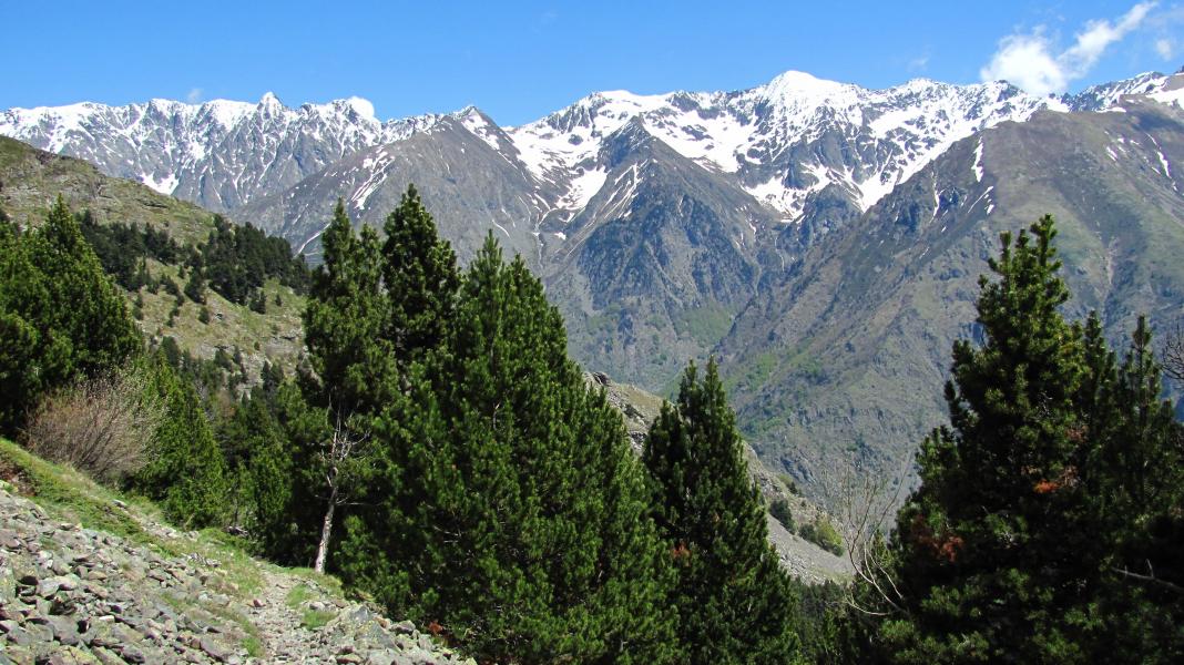 Descente versant est.