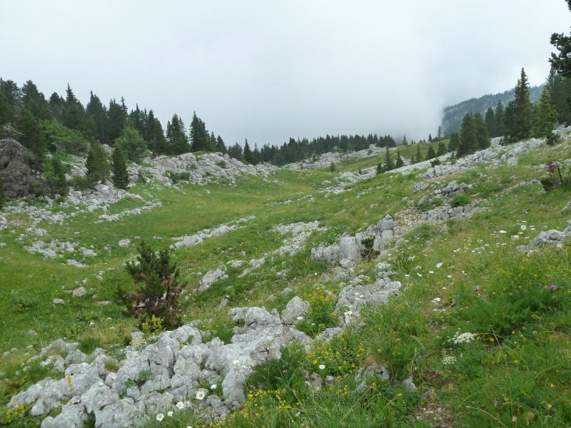 Direction Cabane du Pas de l'Etoupe