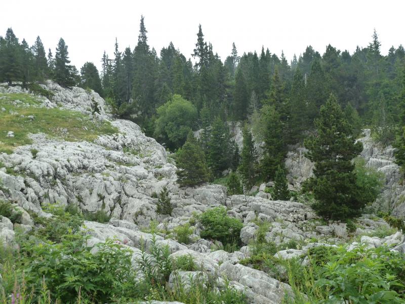 Direction Cabane du Pas de l'Etoupe