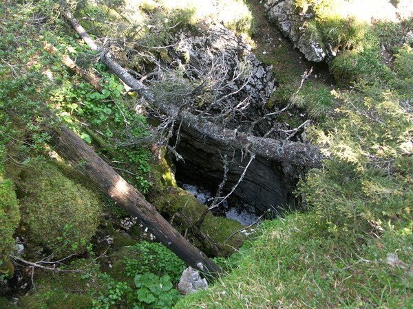Doline