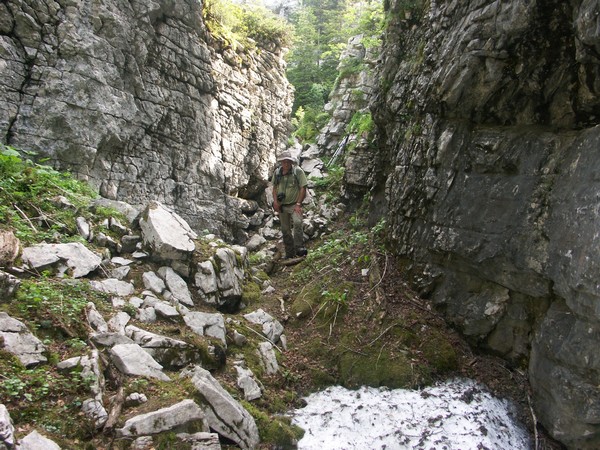 Doline