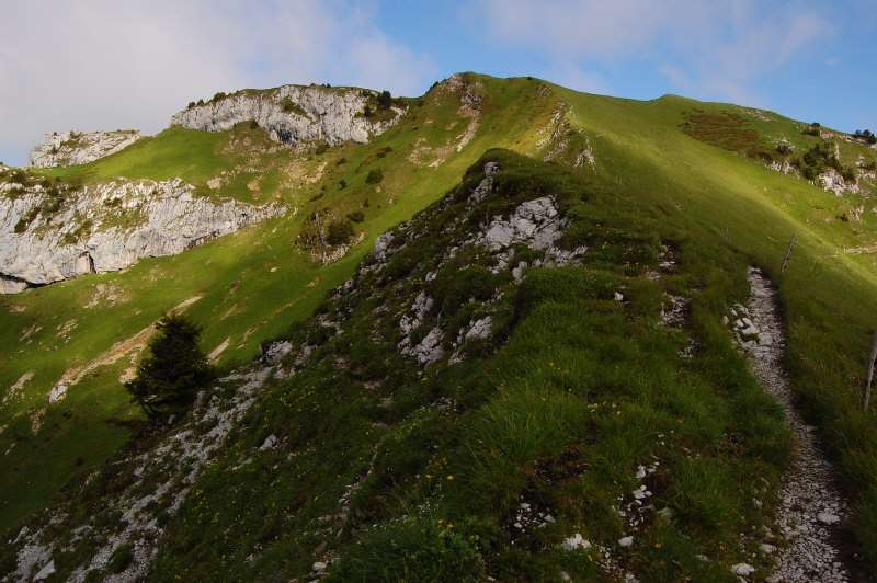Dôme de Bellefont