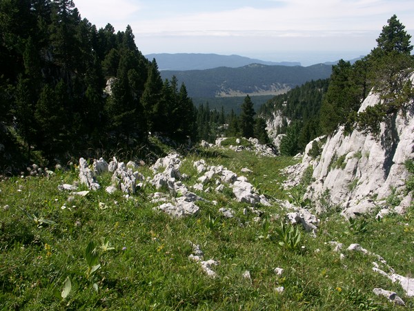 Draille des bergers