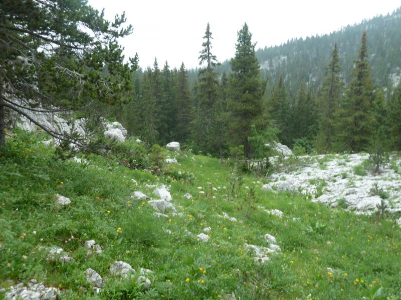 Début du sentier bleu