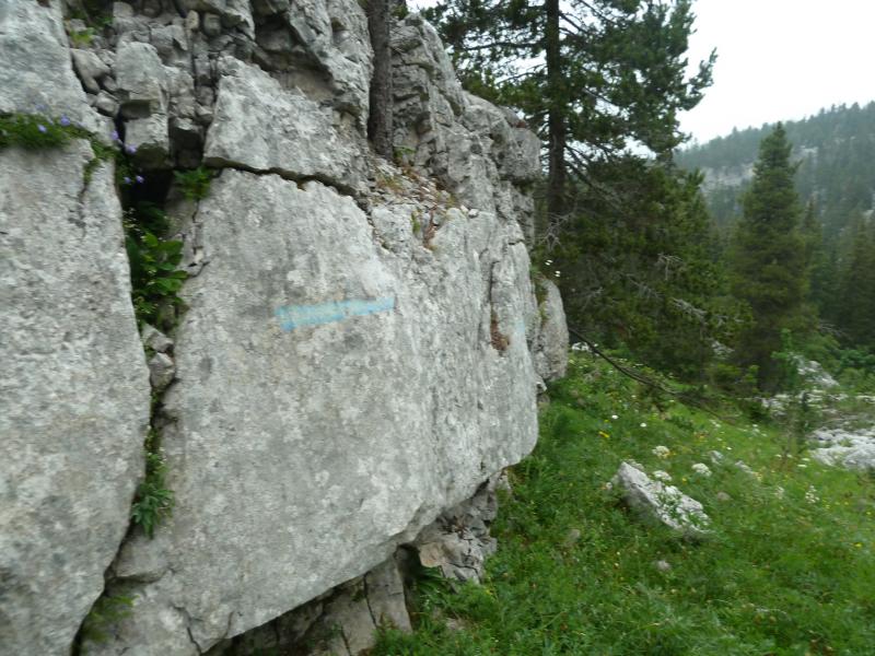 Départ du sentier bleu