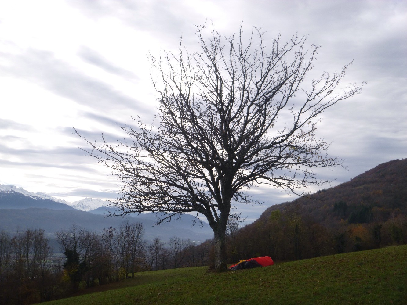 Sous le pommier 