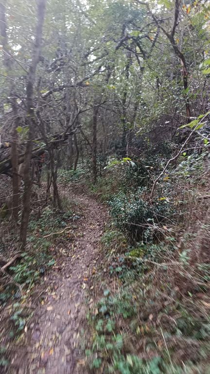 Randonnée Pech-David - Pechbusque