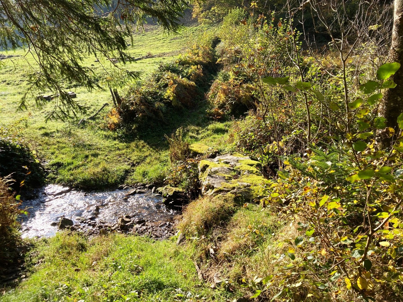 Dalle-pont sur la Fare