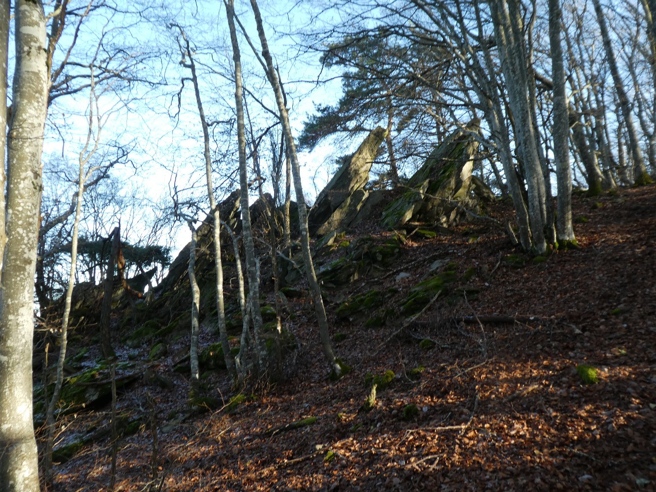 Dalles obliques sous le sommet d'Orsier
