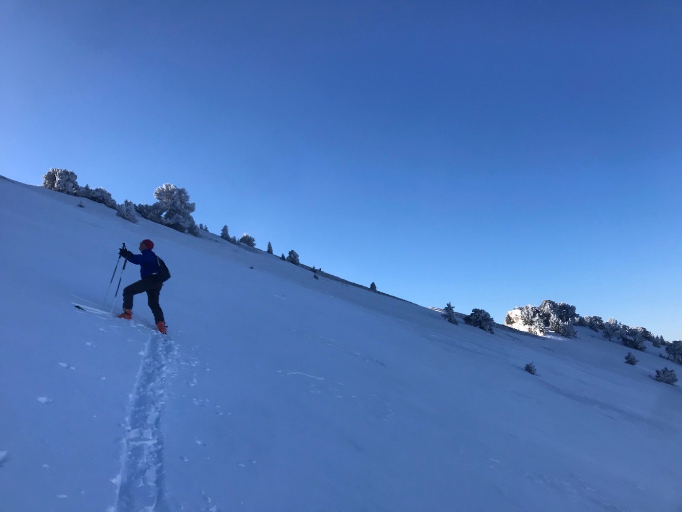 Dans lâ€™ombre