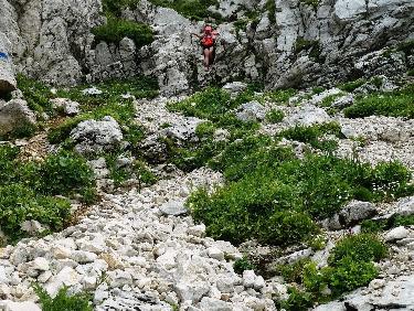 Dans la descente de la Grande Moucherolle