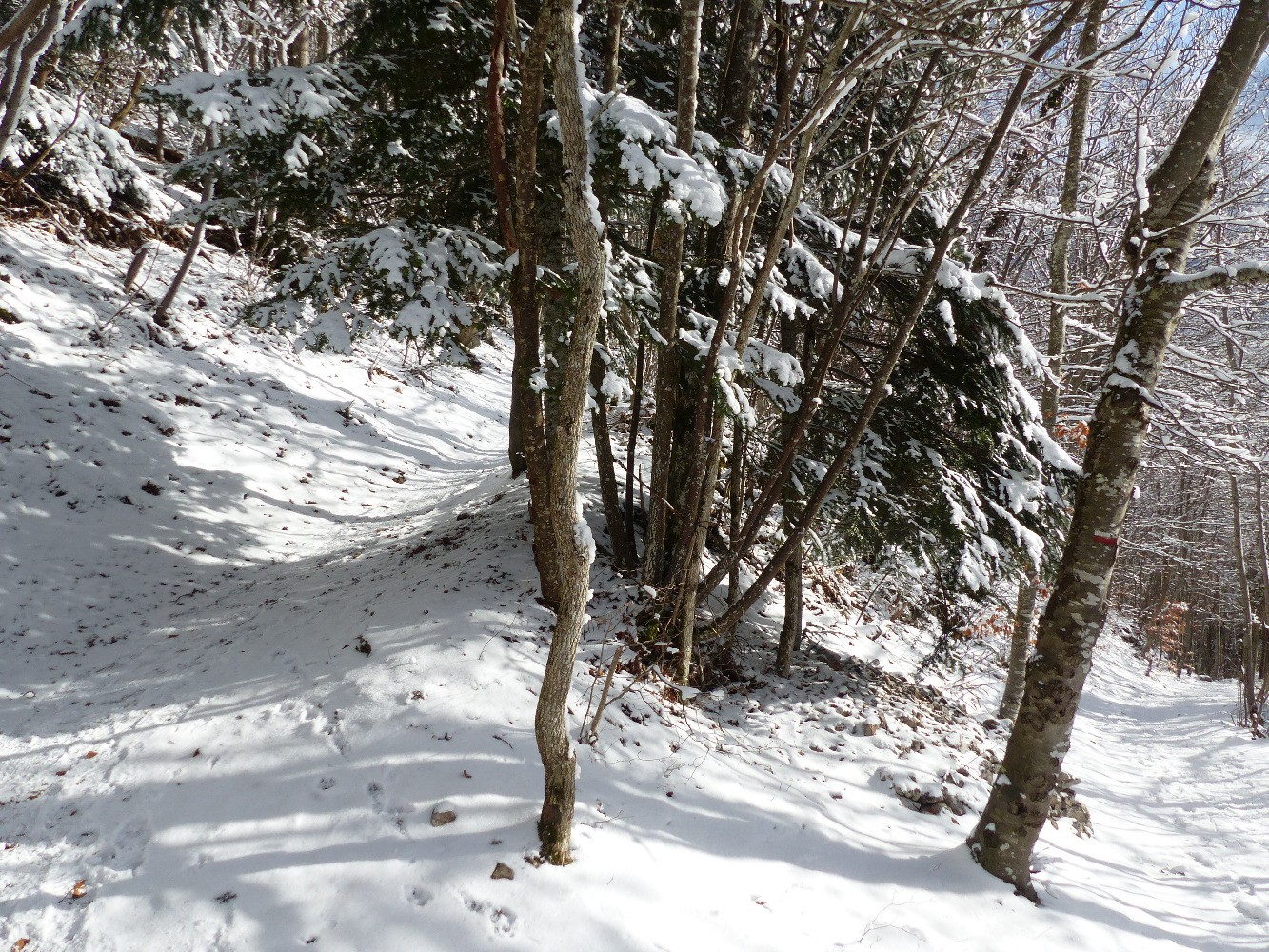 Dans la descente du St Eynard avec le soleil