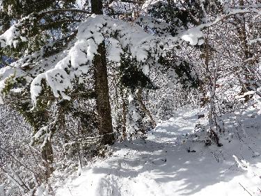 Dans la descente du St Eynard avec le soleil