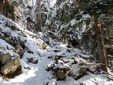 Dans la descente du St Eynard avec le soleil