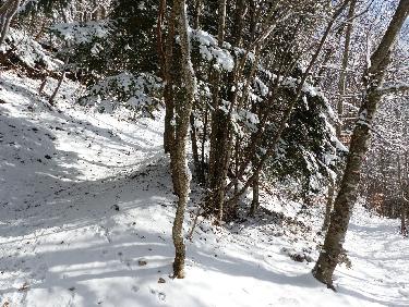 Dans la descente du St Eynard avec le soleil