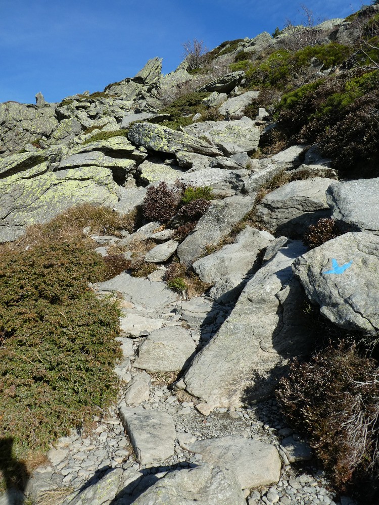 dans la descente (facile...)