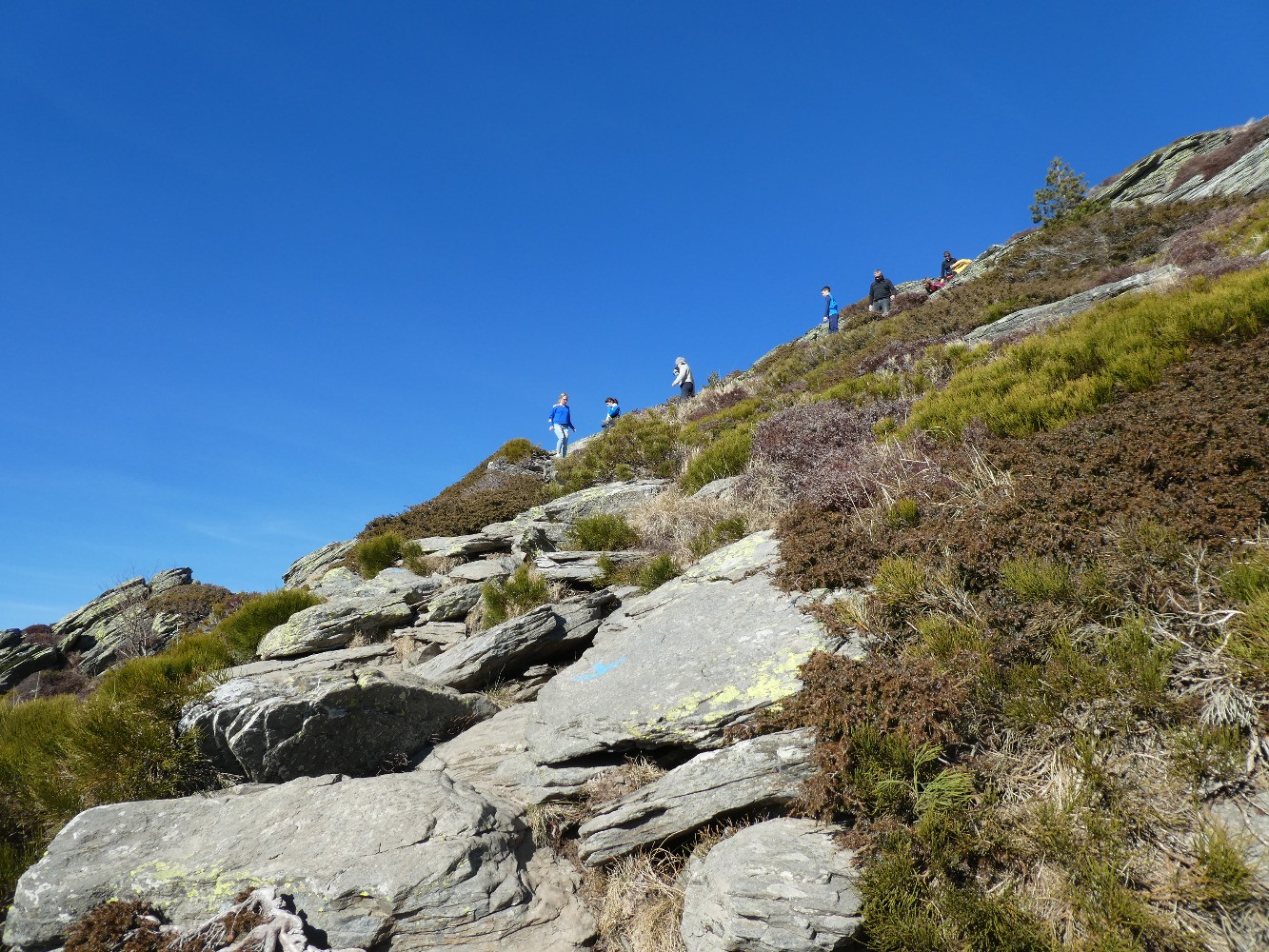 Dans la descente (passage facile)