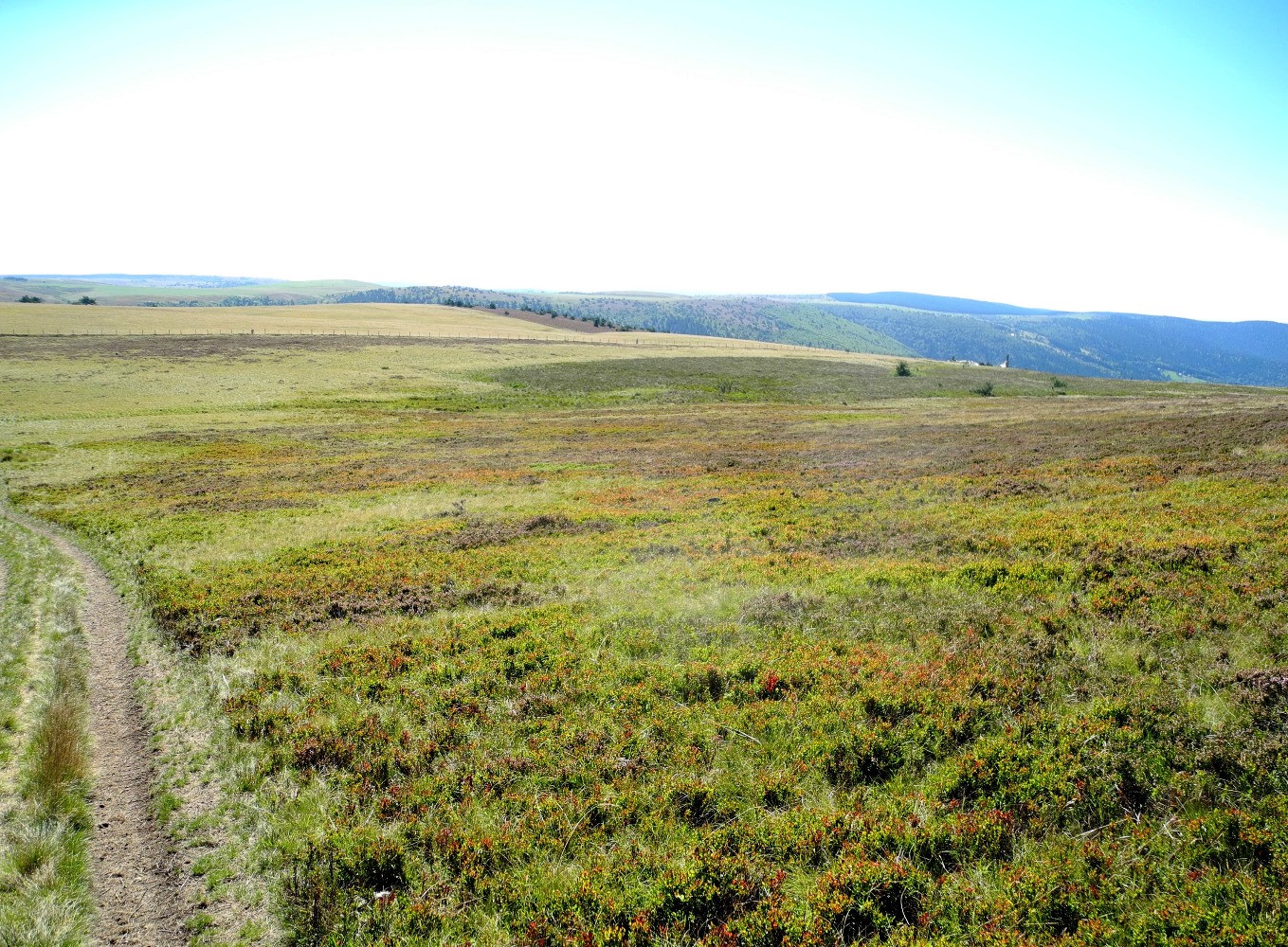 Dans la lande en direction des Reblats
