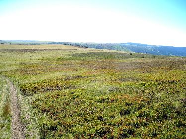 Dans la lande en direction des Reblats