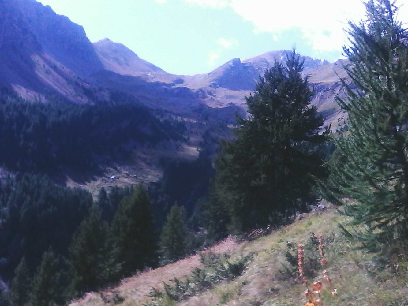 dans la montÃ©e -sentier du col des tourettes- vers vallon tissap